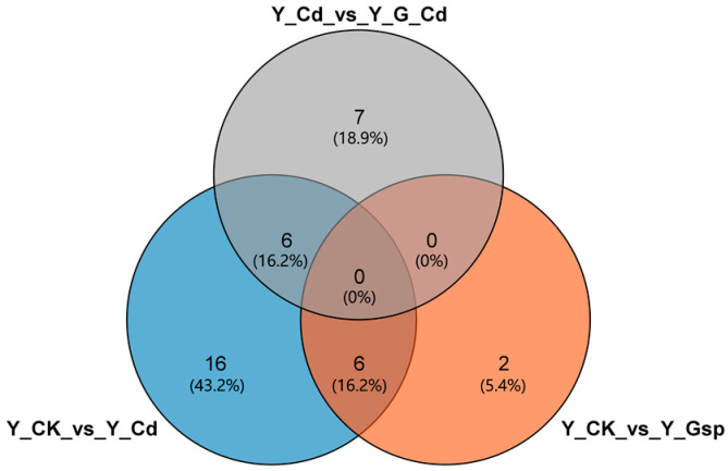 PMC9504380 – plants-11-02364-f008