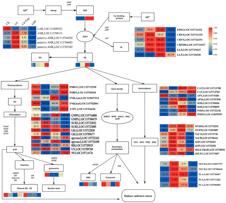 PMC9504380 – plants-11-02364-f010