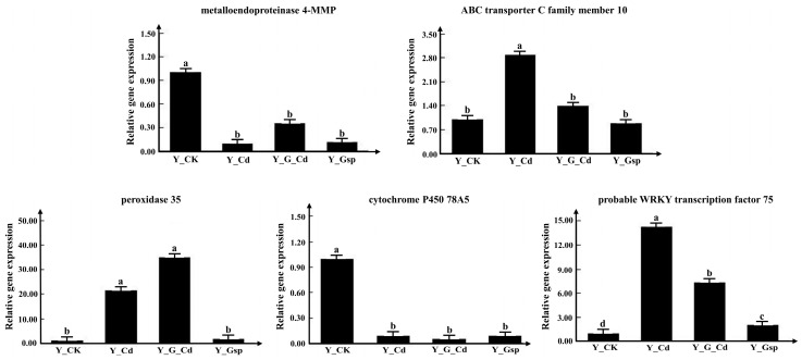 PMC9504380 – plants-11-02364-f011