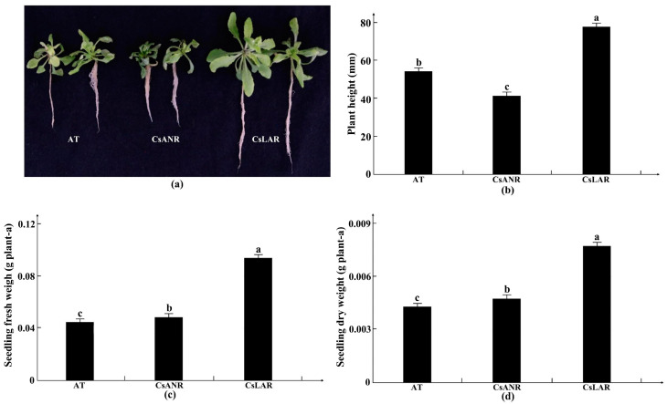 PMC9504380 – plants-11-02364-f014