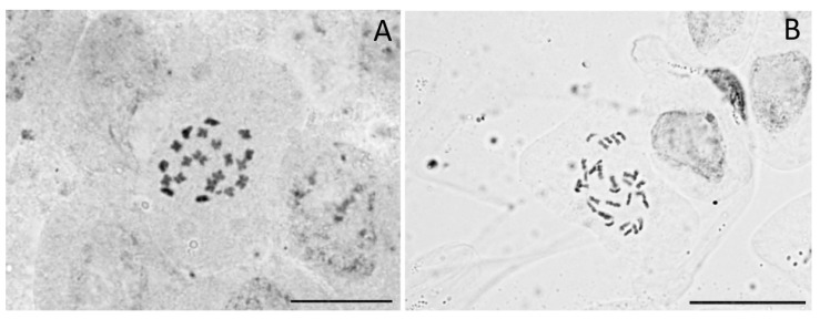 PMC9607409 – plants-11-02736-f003