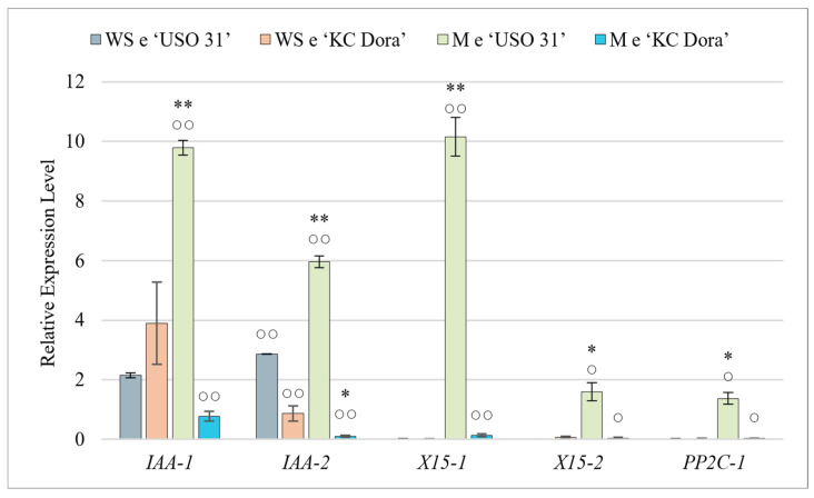 PMC9657790 – plants-11-02995-f002