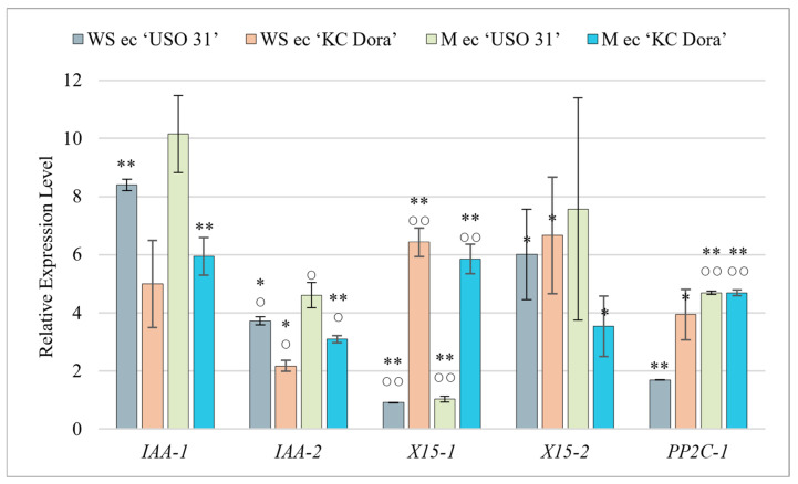 PMC9657790 – plants-11-02995-f003