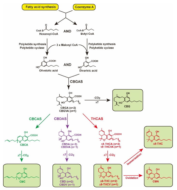PMC9697443 – plants-11-03088-f001
