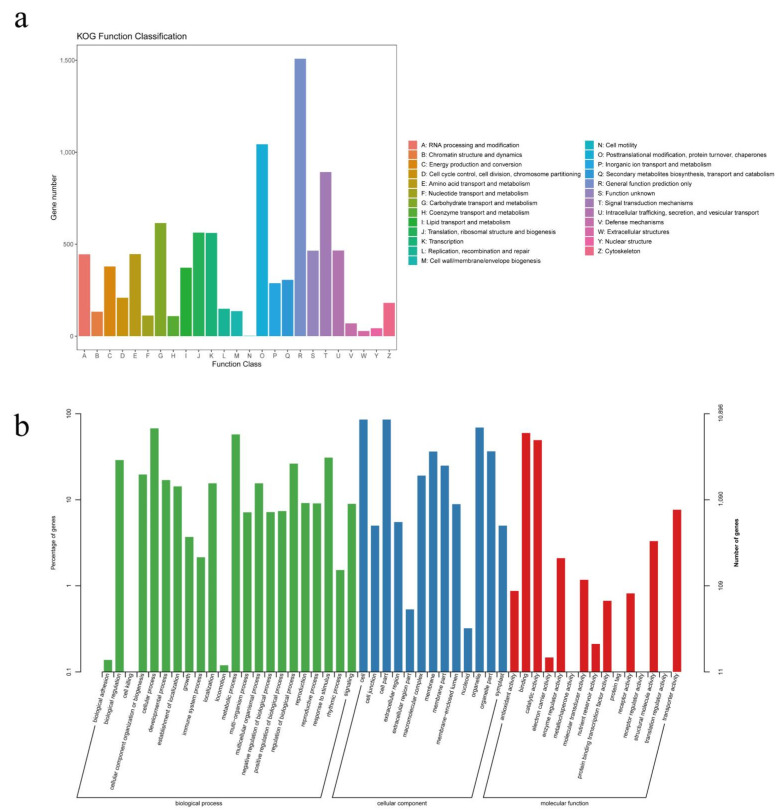 PMC9782162 – plants-11-03559-f004