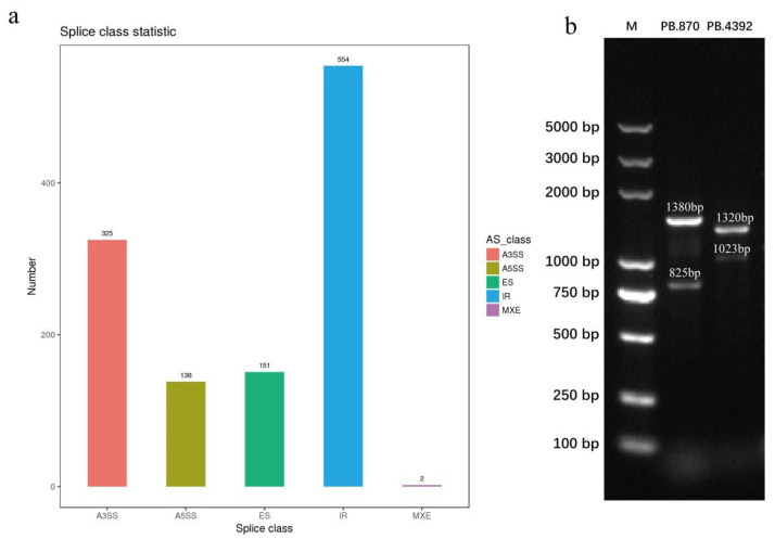 PMC9782162 – plants-11-03559-f010