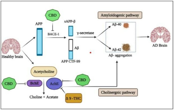 PMC9919841 – plants-12-00510-f001