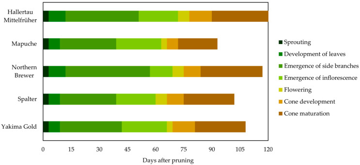 PMC10222731 – plants-12-01971-f002