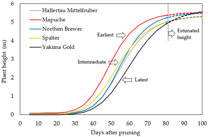 PMC10222731 – plants-12-01971-f003