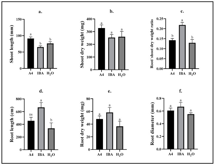 PMC10255170 – plants-12-02216-f001