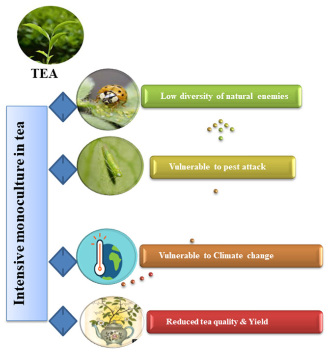 PMC10304037 – plants-12-02361-f001