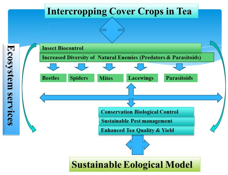 PMC10304037 – plants-12-02361-f003