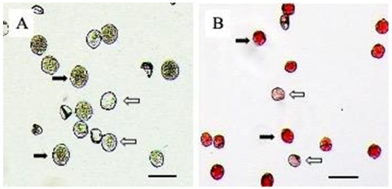 PMC10574327 – plants-12-03371-f002