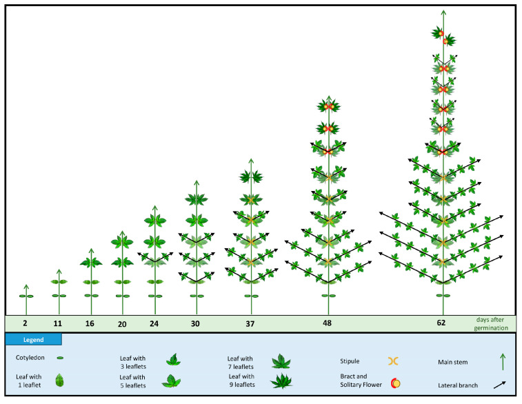 PMC10610221 – plants-12-03646-f006