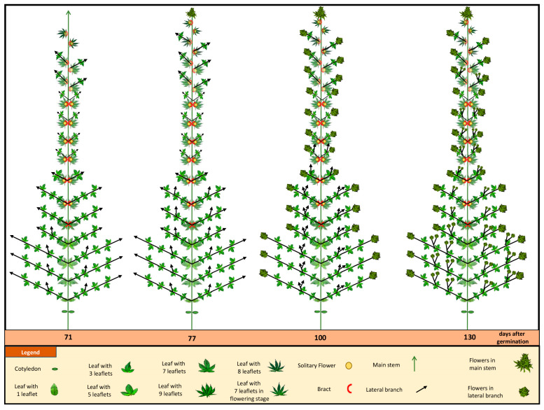 PMC10610221 – plants-12-03646-f008