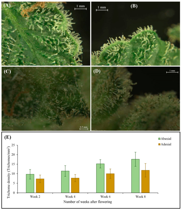 PMC10610221 – plants-12-03646-f011