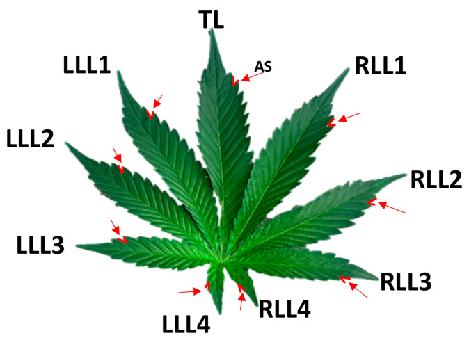 PMC10610221 – plants-12-03646-f014