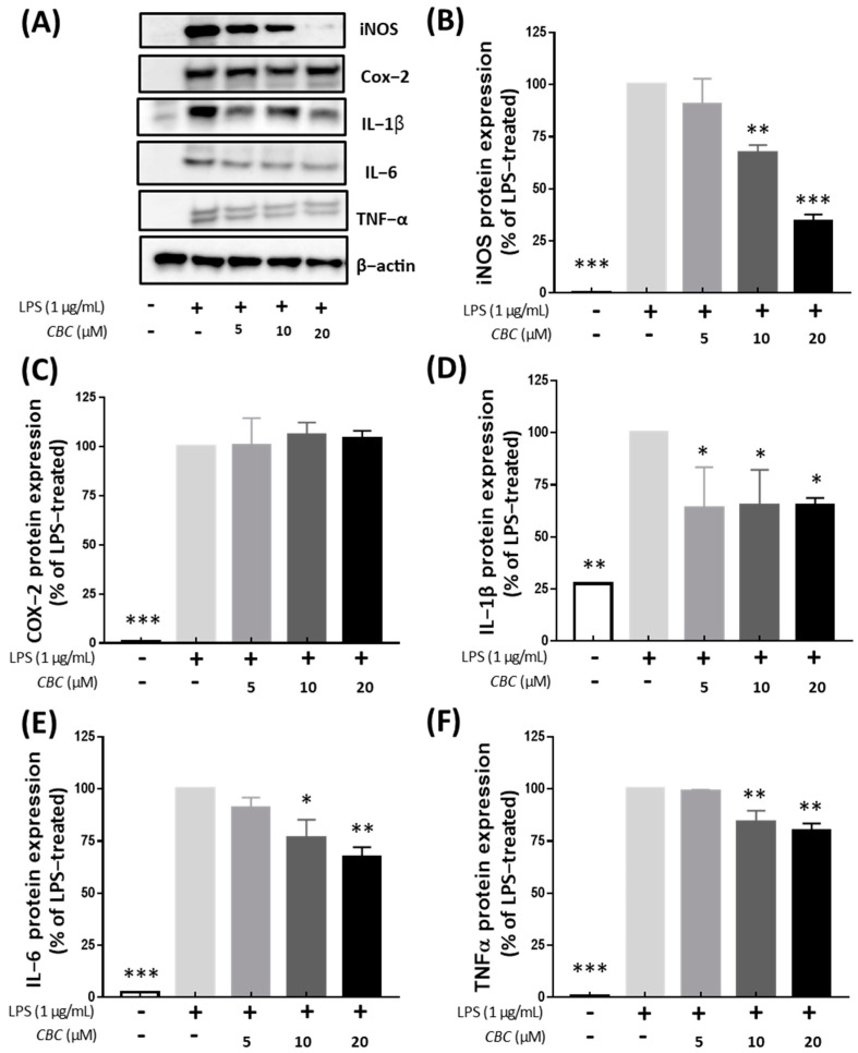 PMC10708362 – plants-12-03966-f004