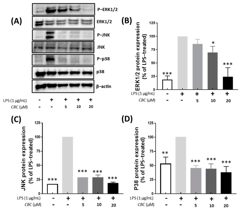 PMC10708362 – plants-12-03966-f005