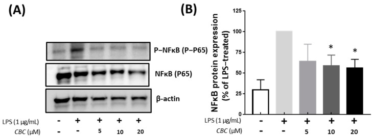 PMC10708362 – plants-12-03966-f006
