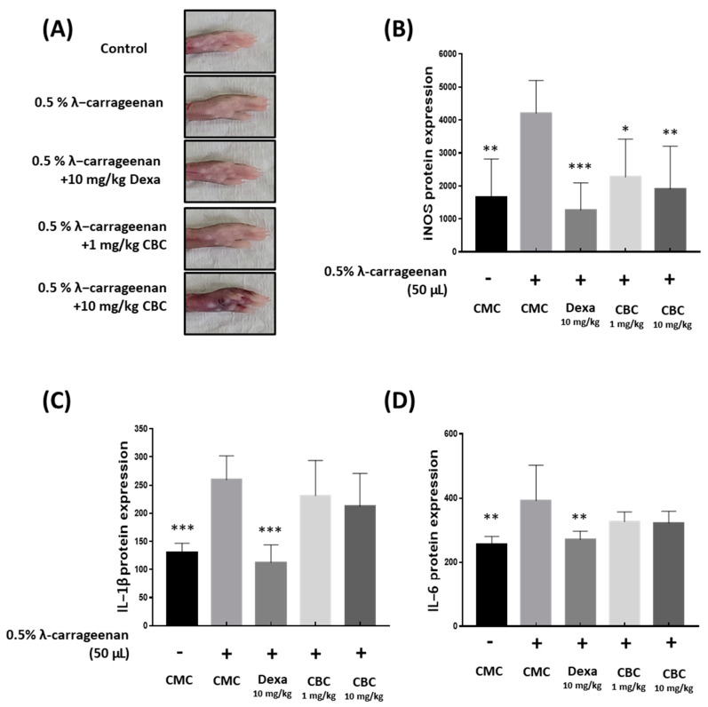 PMC10708362 – plants-12-03966-f007
