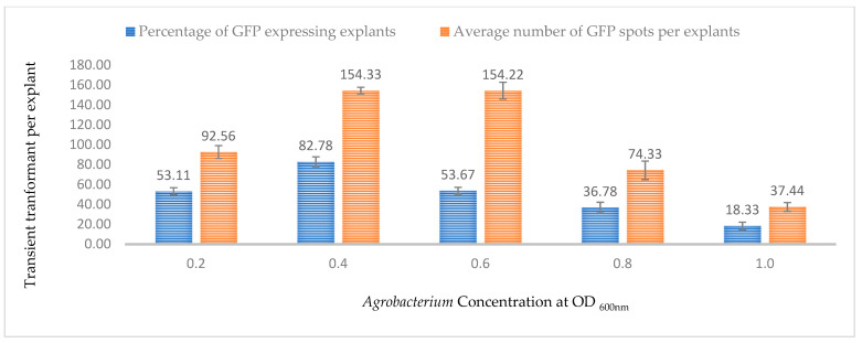 PMC10934005 – plants-13-00664-f005
