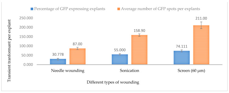 PMC10934005 – plants-13-00664-f008