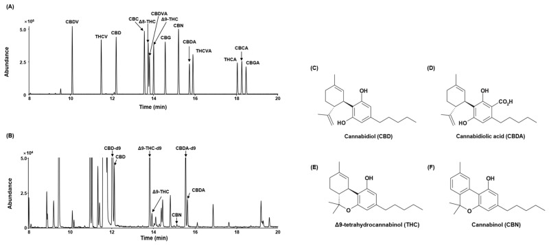 PMC11207521 – plants-13-01704-f001