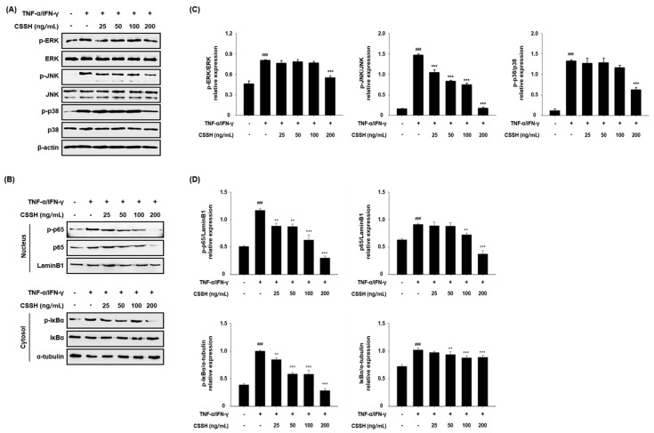 PMC11207521 – plants-13-01704-f004