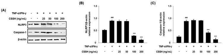 PMC11207521 – plants-13-01704-f005