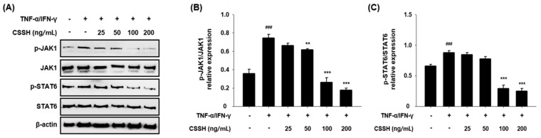 PMC11207521 – plants-13-01704-f006