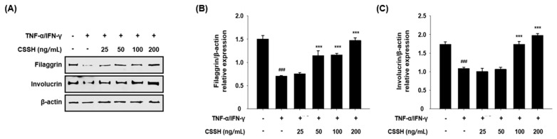 PMC11207521 – plants-13-01704-f007