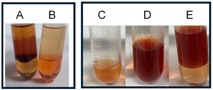 PMC11281079 – plants-13-01951-f003