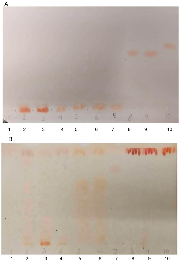 PMC11281079 – plants-13-01951-f004