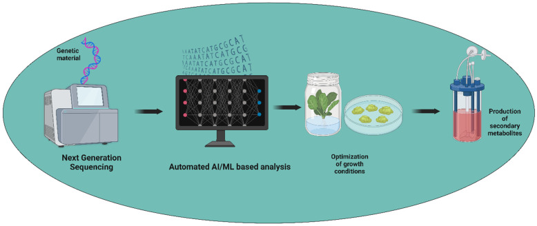 PMC11313931 – plants-13-02171-f002