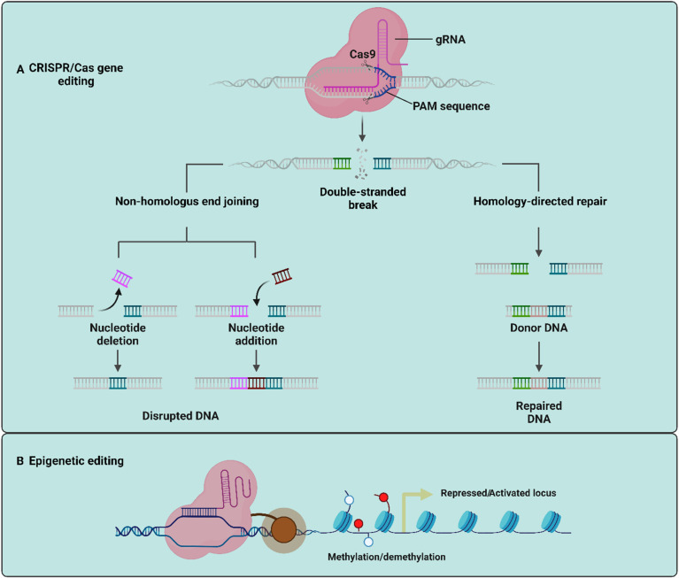 PMC11313931 – plants-13-02171-f003