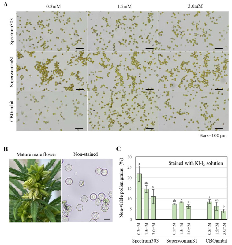 PMC11397453 – plants-13-02429-f004