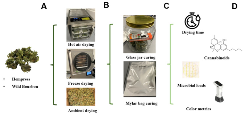 PMC11821007 – plants-14-00414-f006