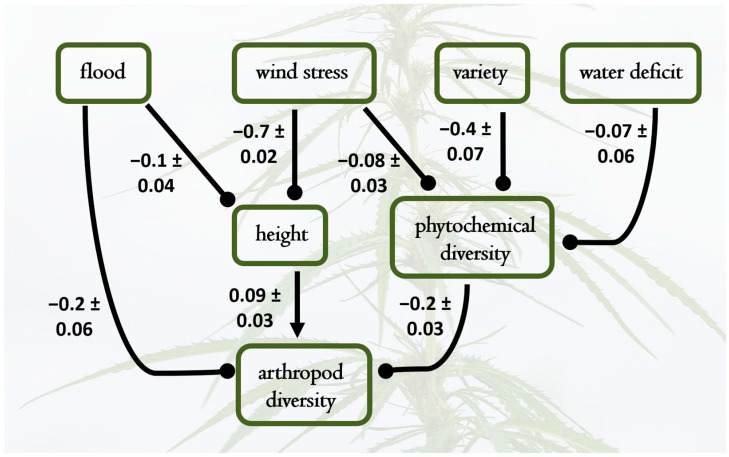 PMC11819868 – plants-14-00474-f003