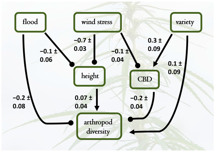 PMC11819868 – plants-14-00474-f004