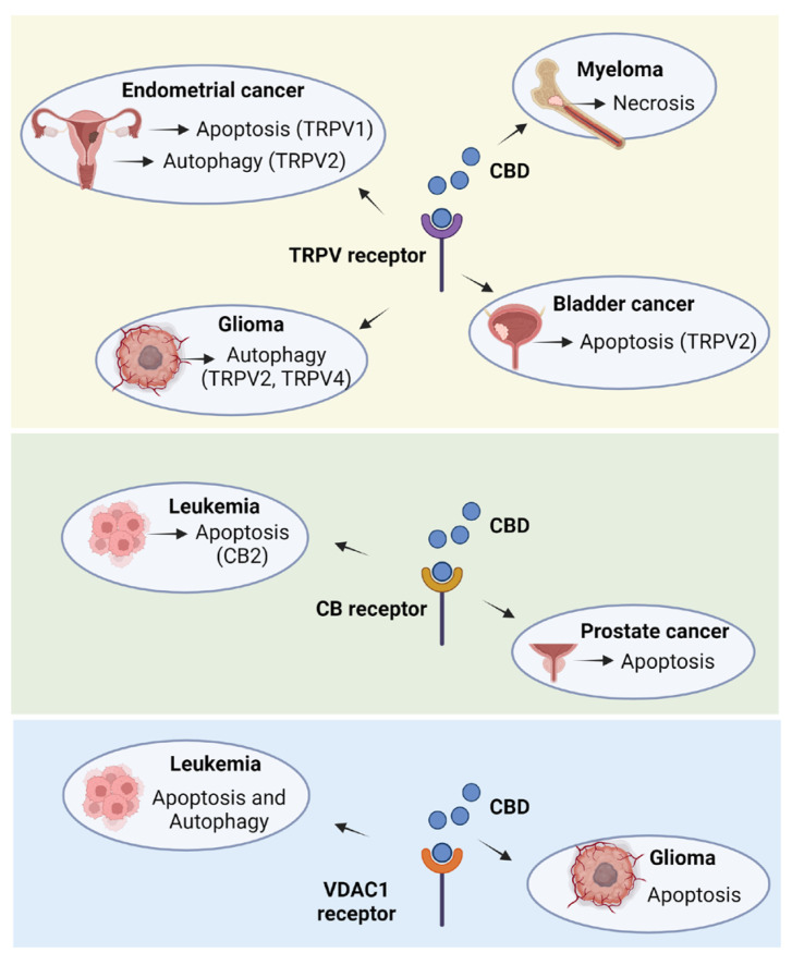 PMC11859785 – plants-14-00585-f001