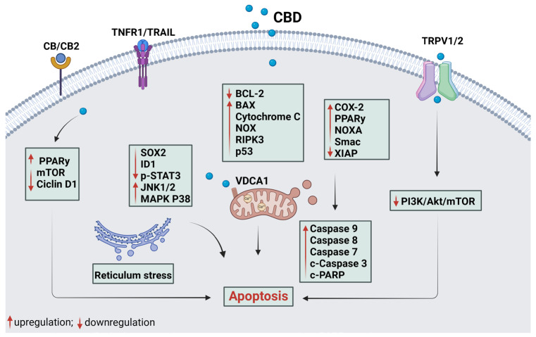 PMC11859785 – plants-14-00585-f002