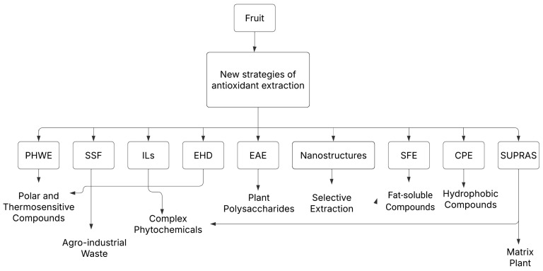 PMC11902142 – plants-14-00755-f002
