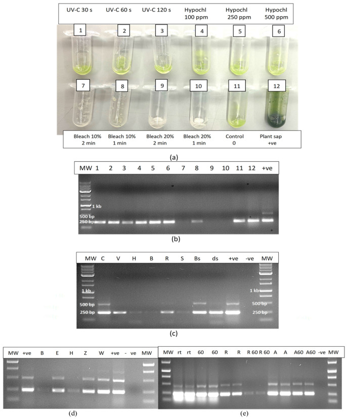 PMC11902214 – plants-14-00830-f016