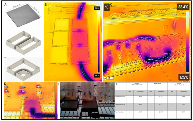 PMC11945952 – plants-14-00886-f004