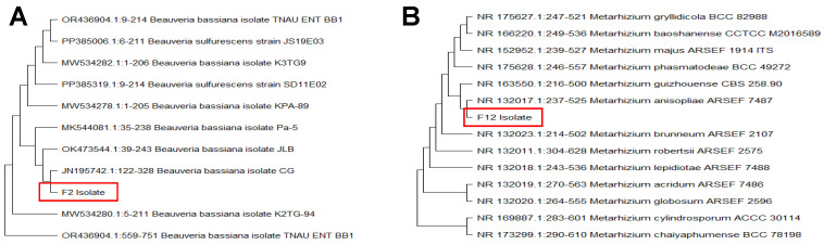 PMC11946862 – plants-14-00931-f001