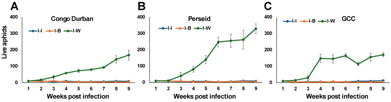 PMC11946862 – plants-14-00931-f005