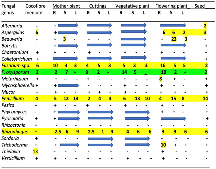 PMC12030312 – plants-14-01247-f002