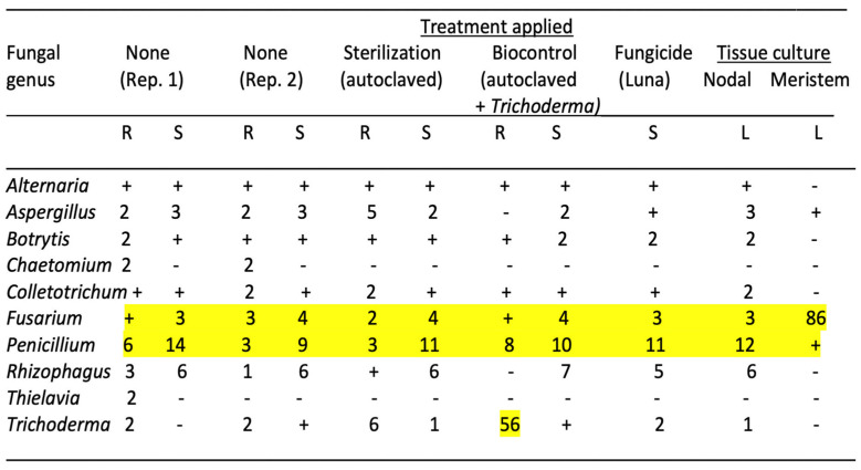 PMC12030312 – plants-14-01247-f007