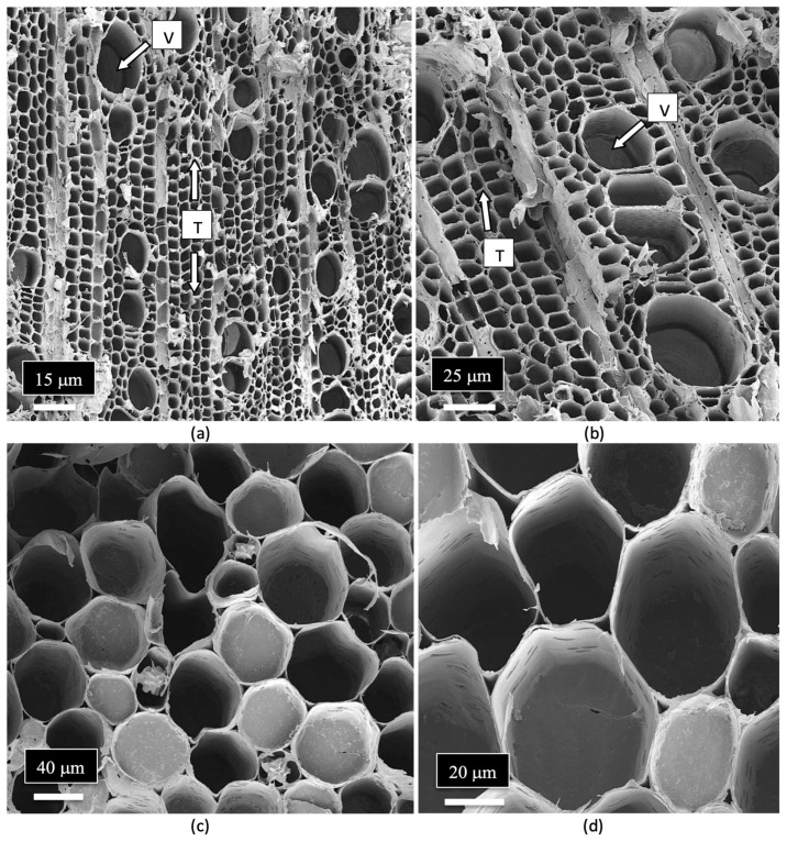 PMC12030312 – plants-14-01247-f010